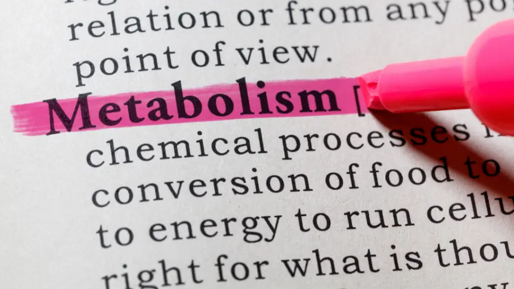 how to reset your metabolism